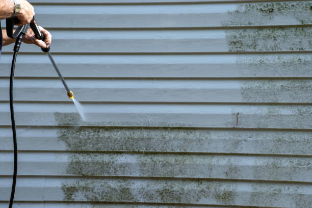 Best Property Management Cleanouts  in Madison, IN