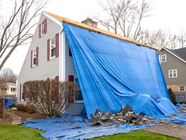 Best Hoarding Cleanup  in Madison, IN